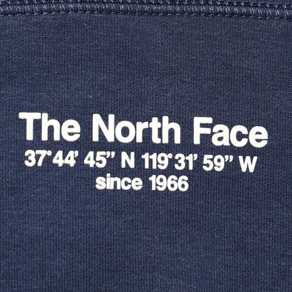 大きいサイズ メンズ THE NORTH FACE ノースフェイス プリント プルオーバー パーカー USA直輸入 nf0a8j45-8k2